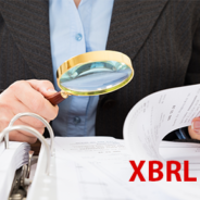The Revised XBRL Filing Requirements
